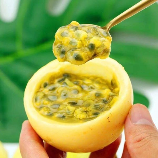 (HỘ KINH DOANH) LÊ VĂN LUÂN